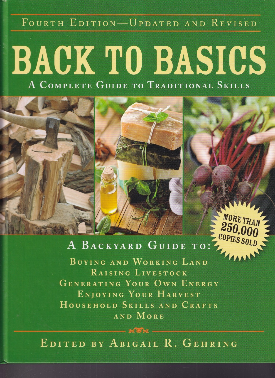 BACK TO BASICS: A Complete Guide to Traditional Skills (2014 HC){D4}