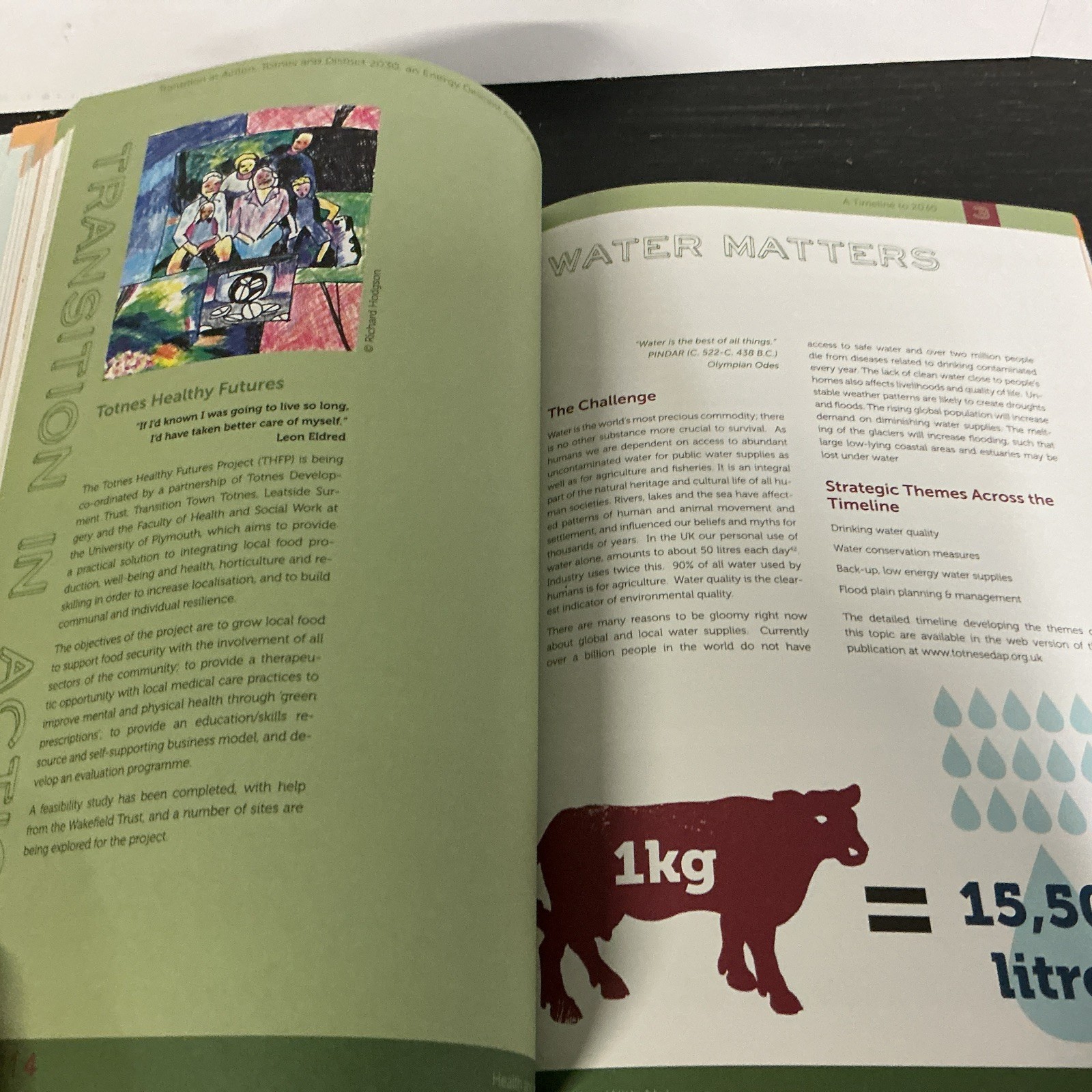 Transition in Action: Totnes and District 2030, An Energy Descent Action Plan