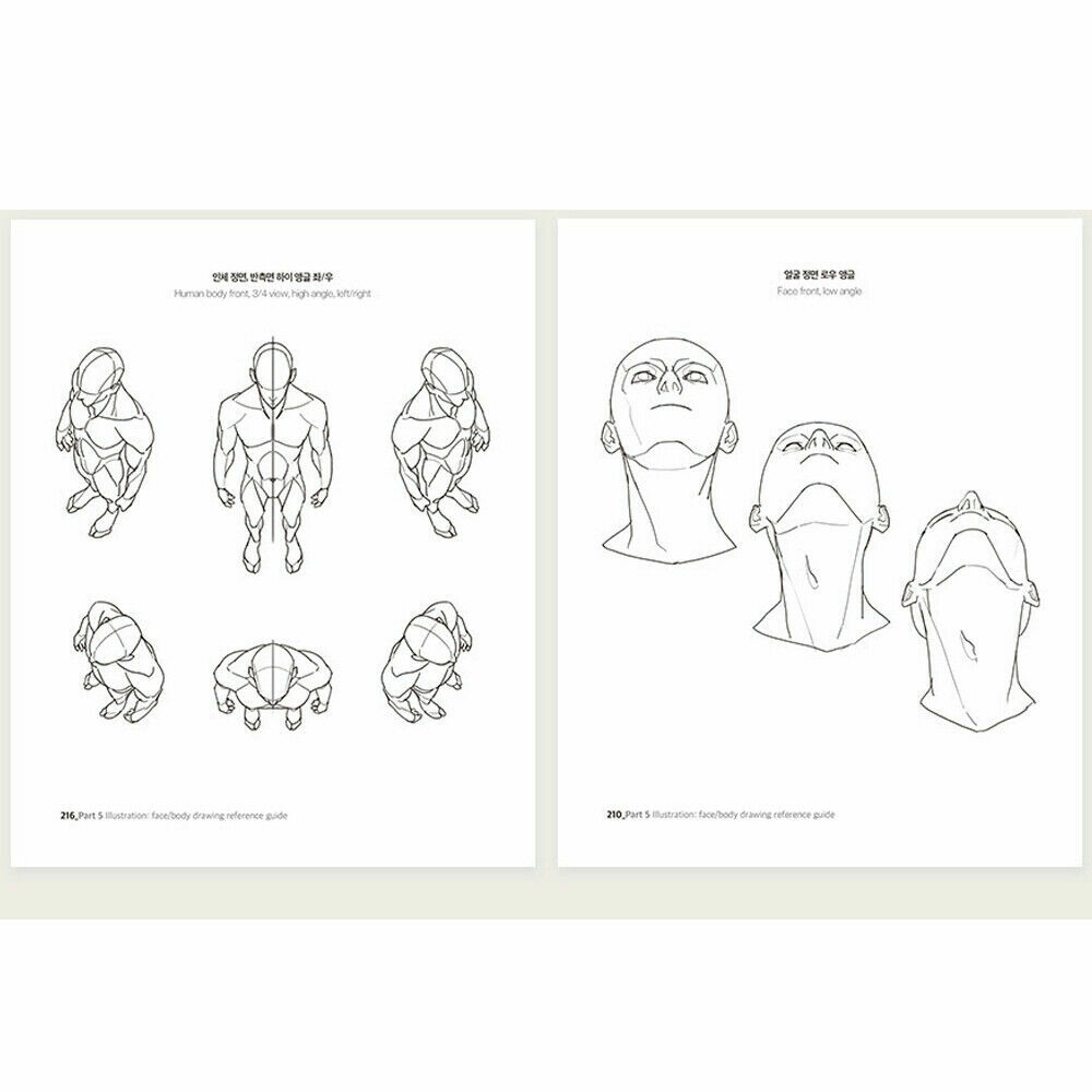 Point Character Drawing by TACO Lezhin Comics Human body Drawing Guide Korean