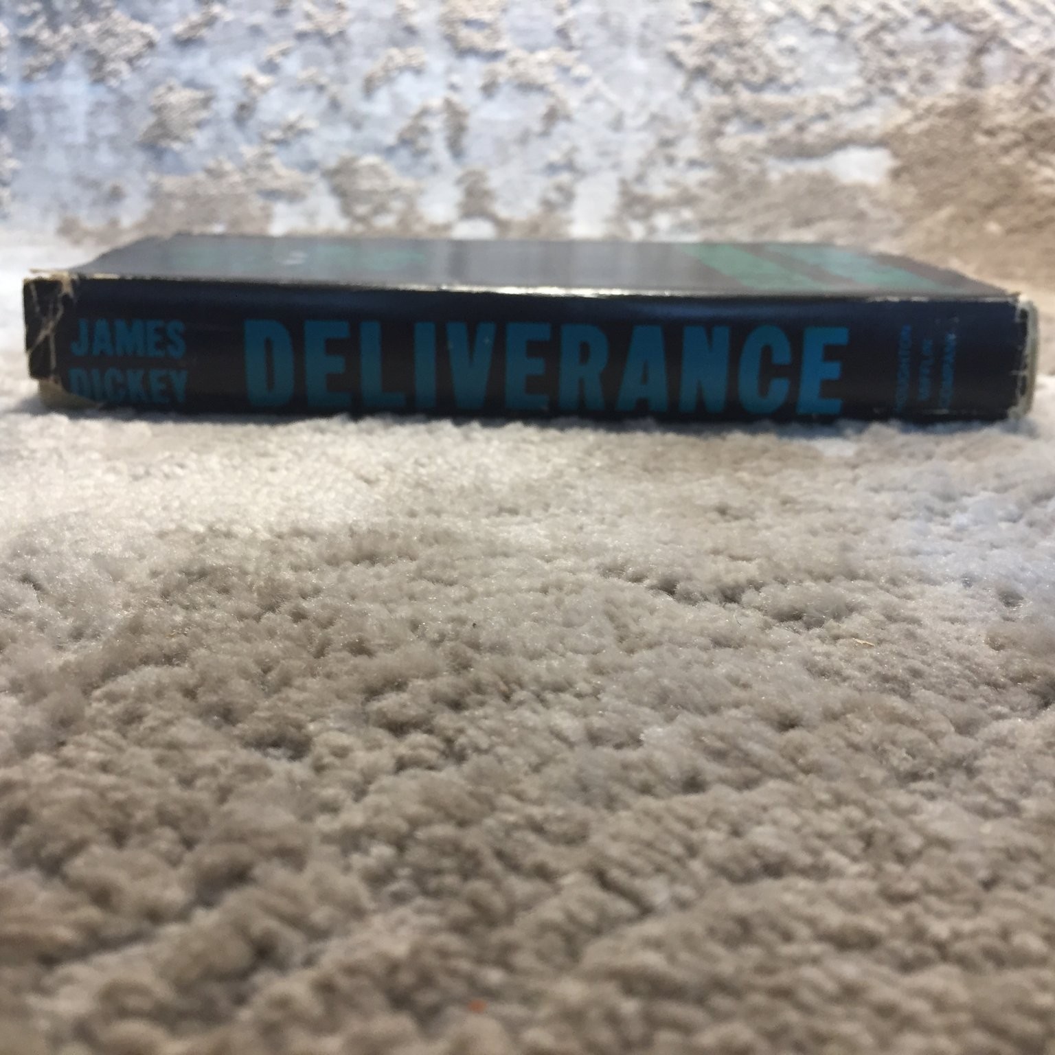Deliverance James Dickey 1970 First Edition Houghton Mifflin Southern Gothic