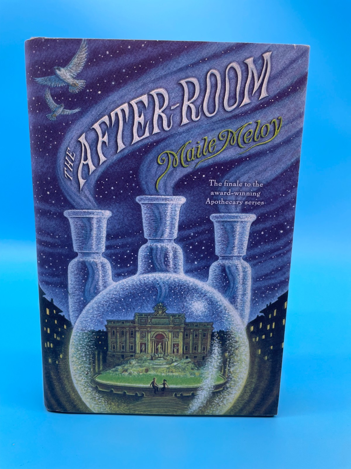 The After-Room (The Apothecary Series) – Hardcover By Meloy, Maile – GOOD