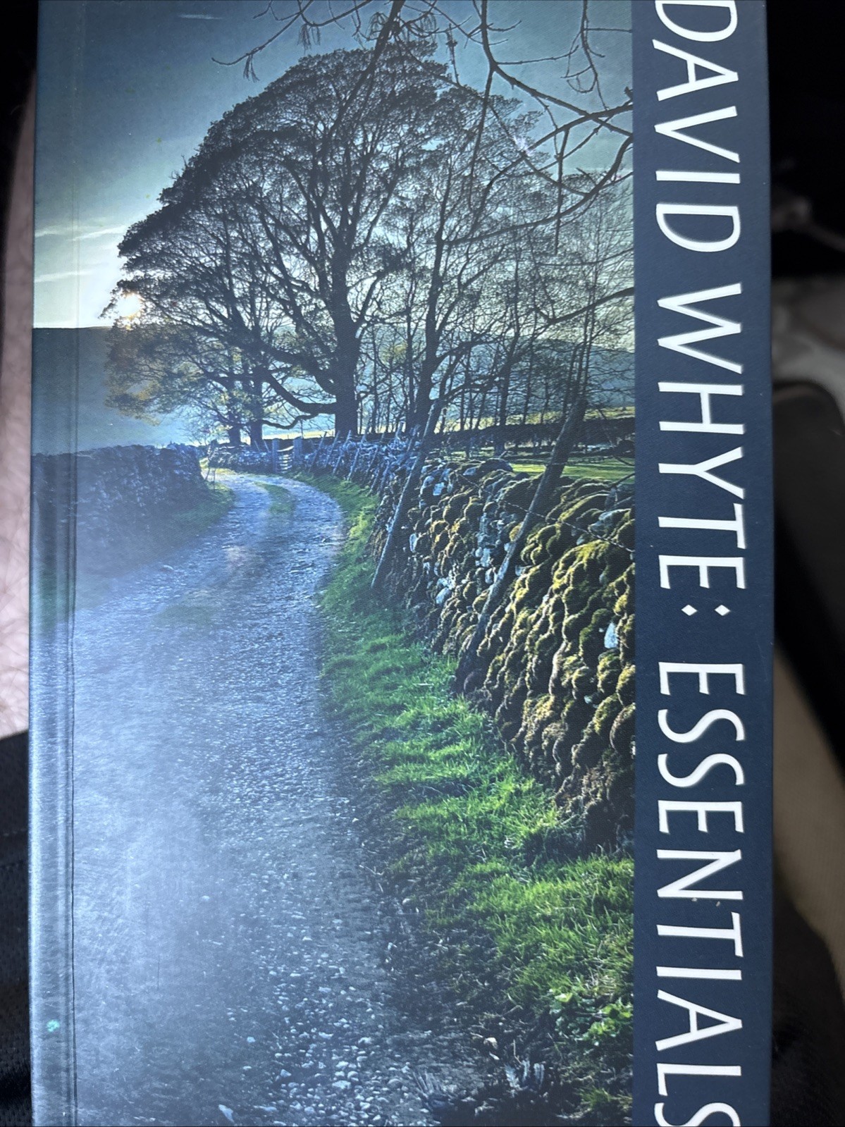 David Whyte Essentials by David Whyte (2019, Trade Paperback)
