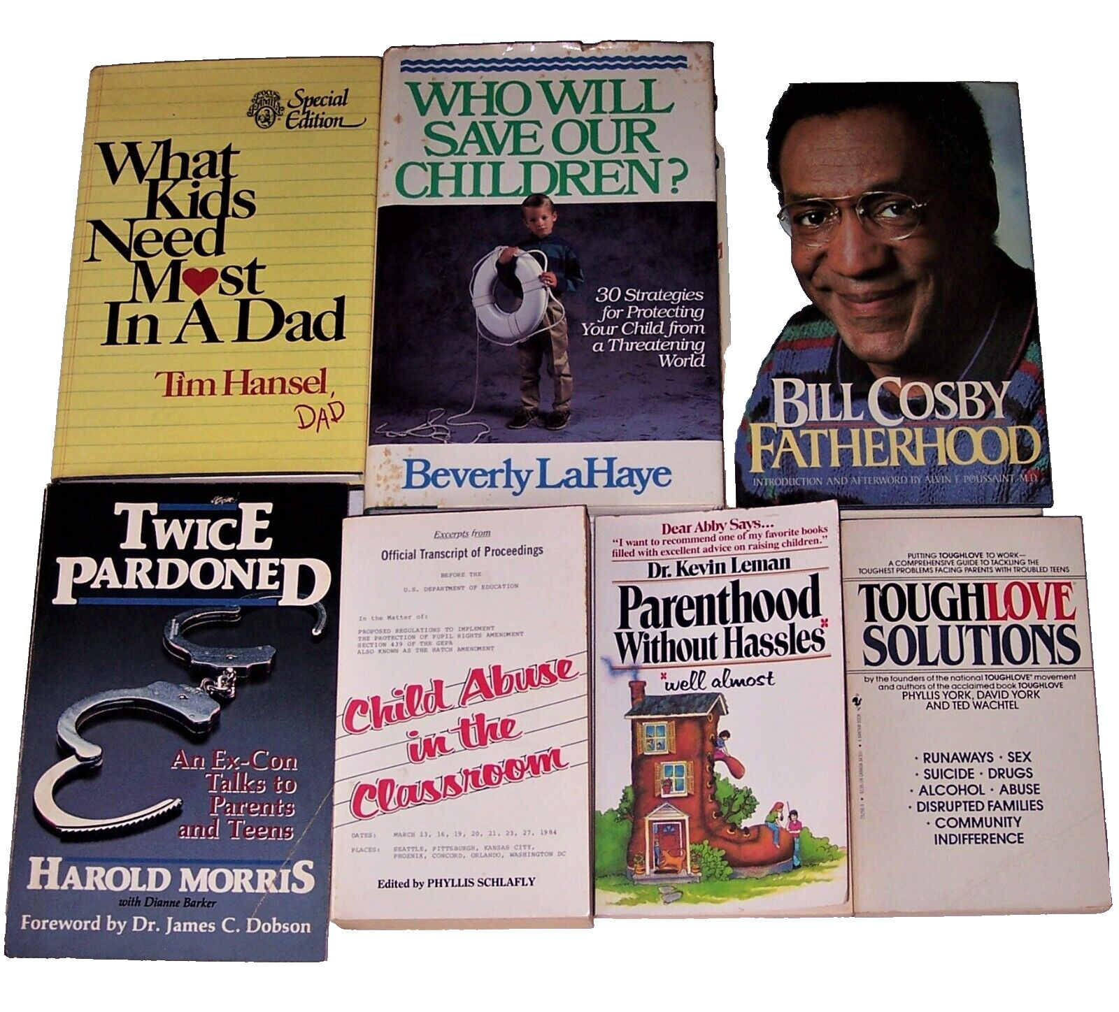 Parenting BOOK LOT Who Will Save Children Classroom Child Abuse Tough Love Dads