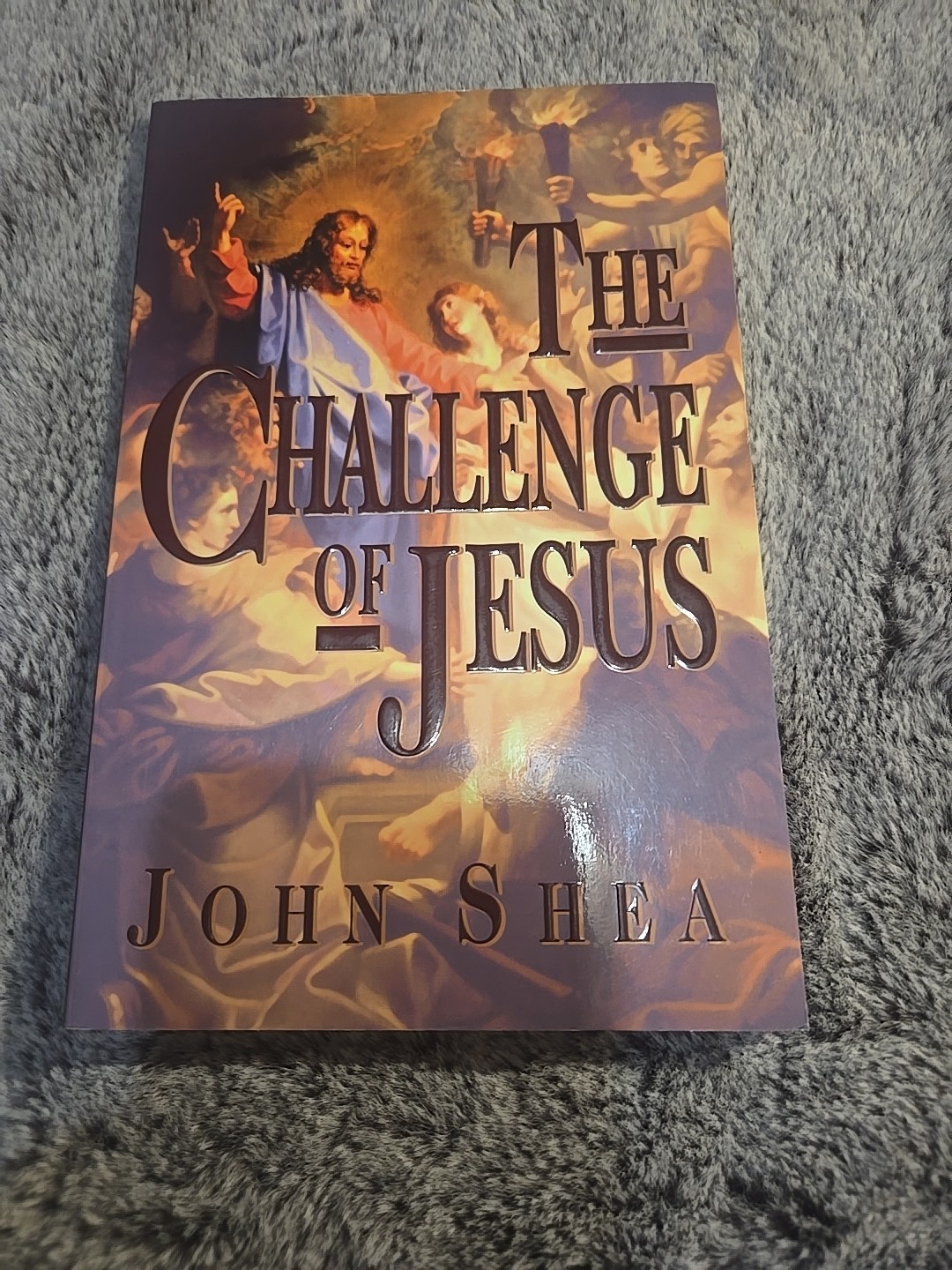 Challenge of Jesus by John Shea (1996, Trade Paperback)