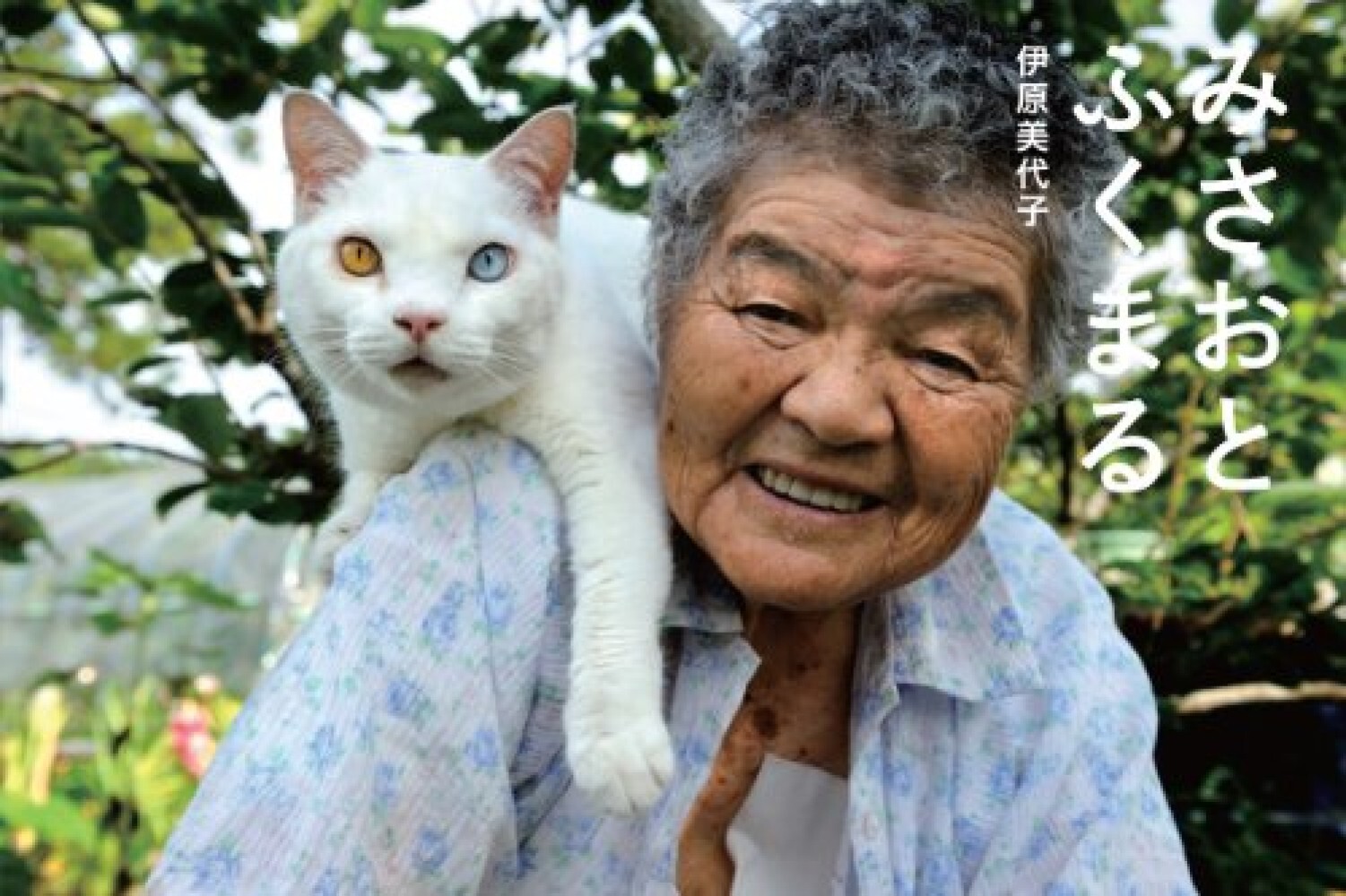 Miyoko Ihara: Misao the Big Mama and Fukumaru the Cat Japanese Edition USED