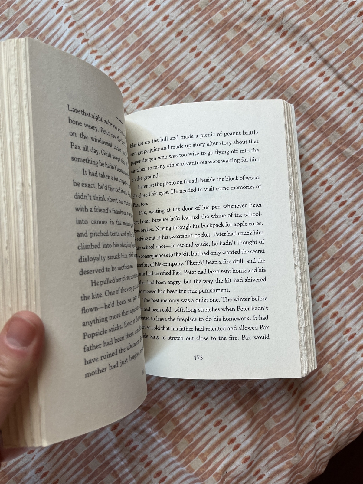 Pax Ser.: Pax by Sara Pennypacker (2019, Trade Paperback)