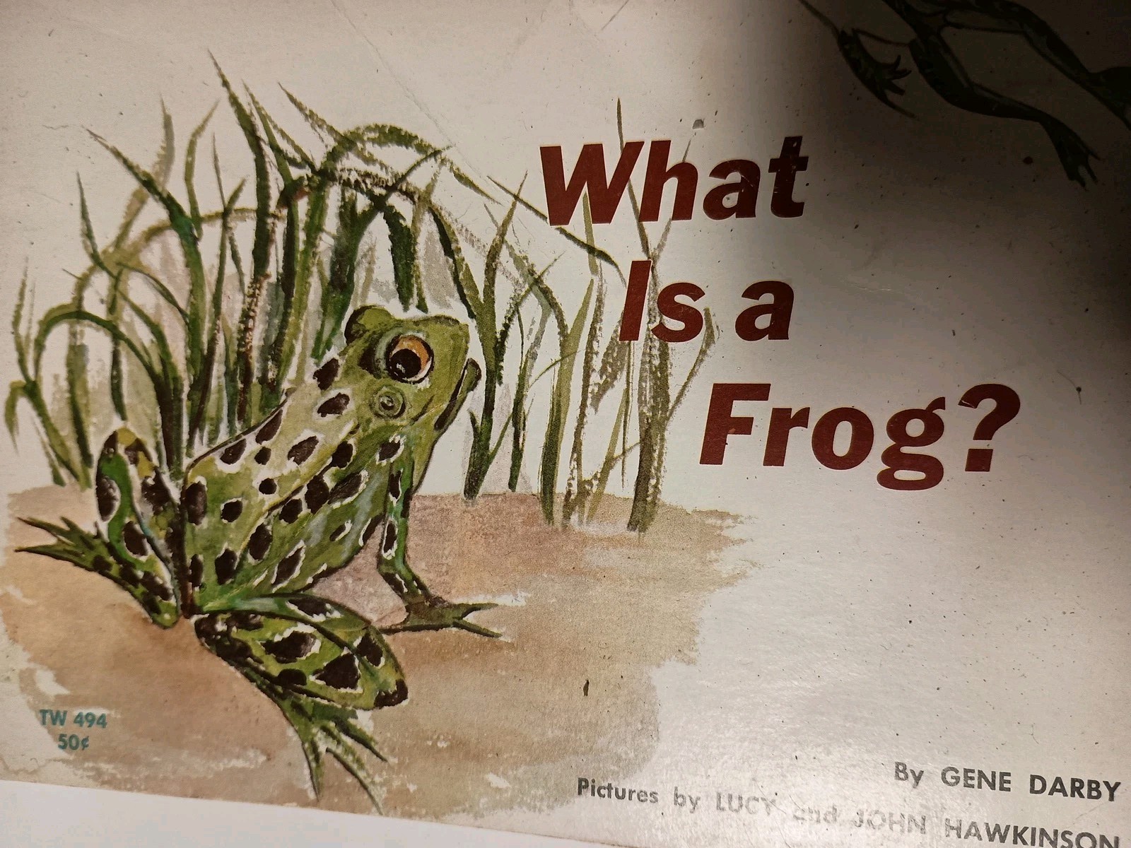 Vintage 1957 What is a Frog? by Gene Darby, Scholastic S11