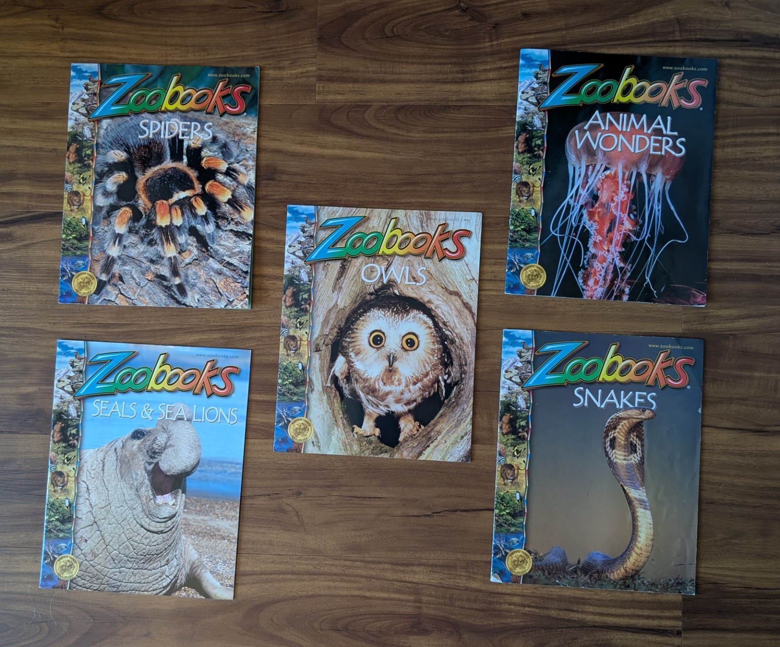 Zoobooks Lot of 5 Educational Booklets Spiders Owls Snakes Seals Animal Wonders