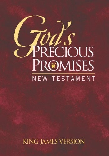 God’s Precious Promises New Testament: KJV Edition in Burgundy by AMG Publishers