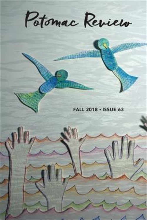 Potomac Review Issue 63 (Paperback or Softback)