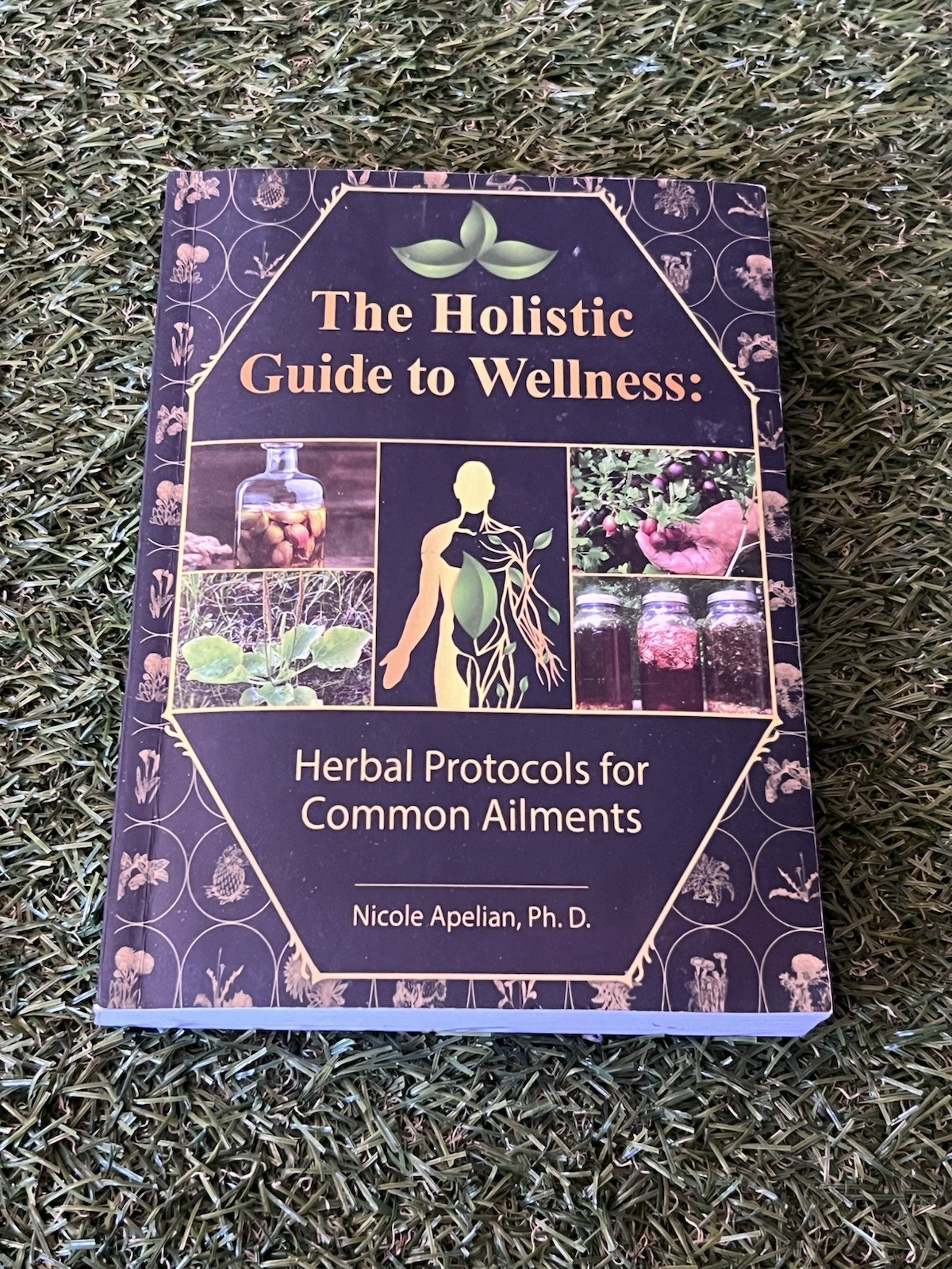 The Holistic Guide to Wellness by Nicole Apelian English Paperback Book