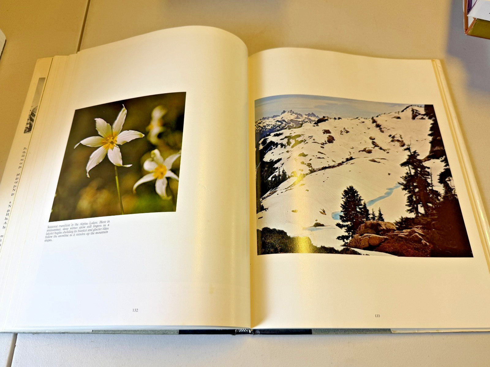 The Cascade Range SIGNED by Ray Atkeson HCDJ 1969 Large Oregon Photography Book
