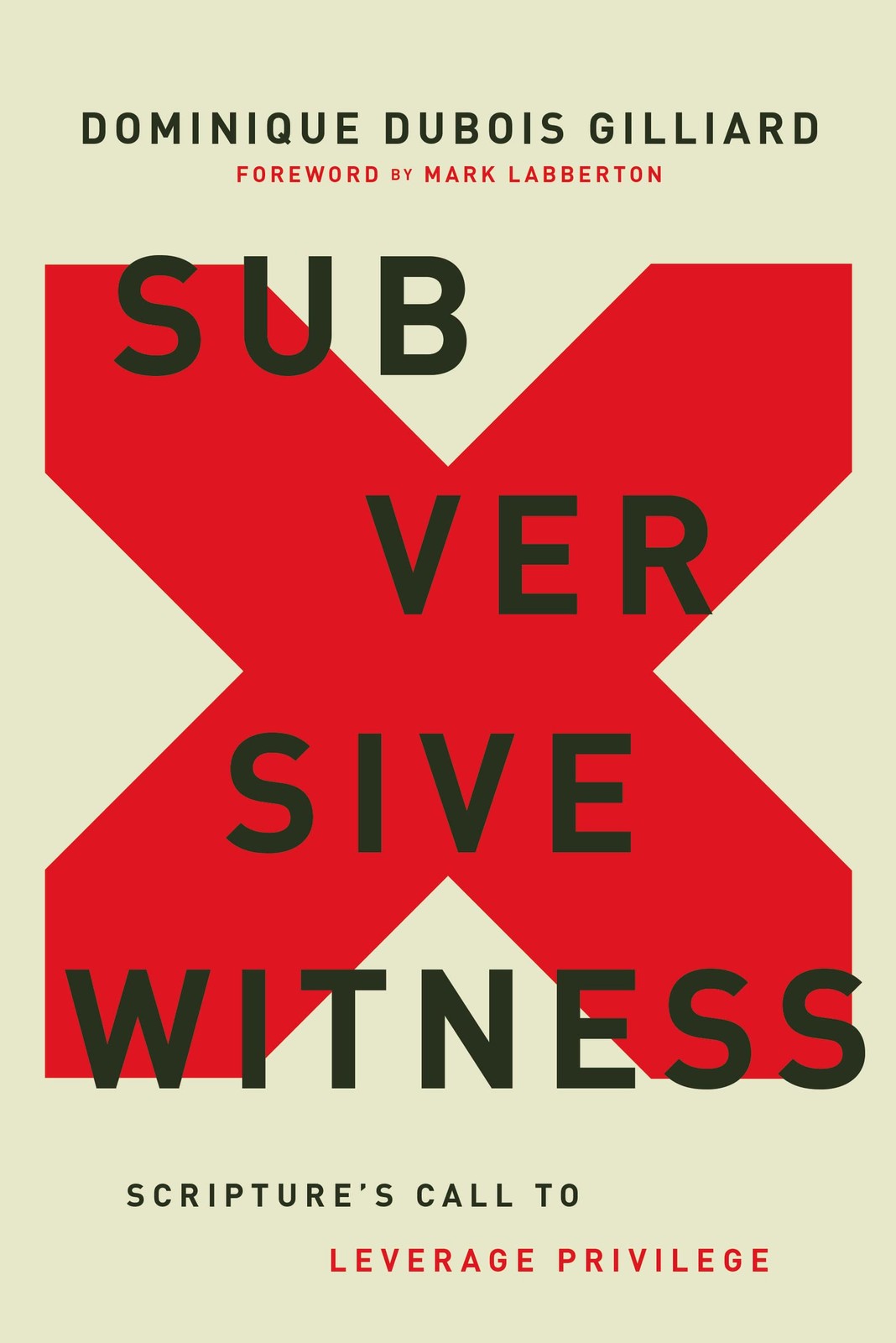 Subversive Witness: Scripture’s Call to Leverage Privilege