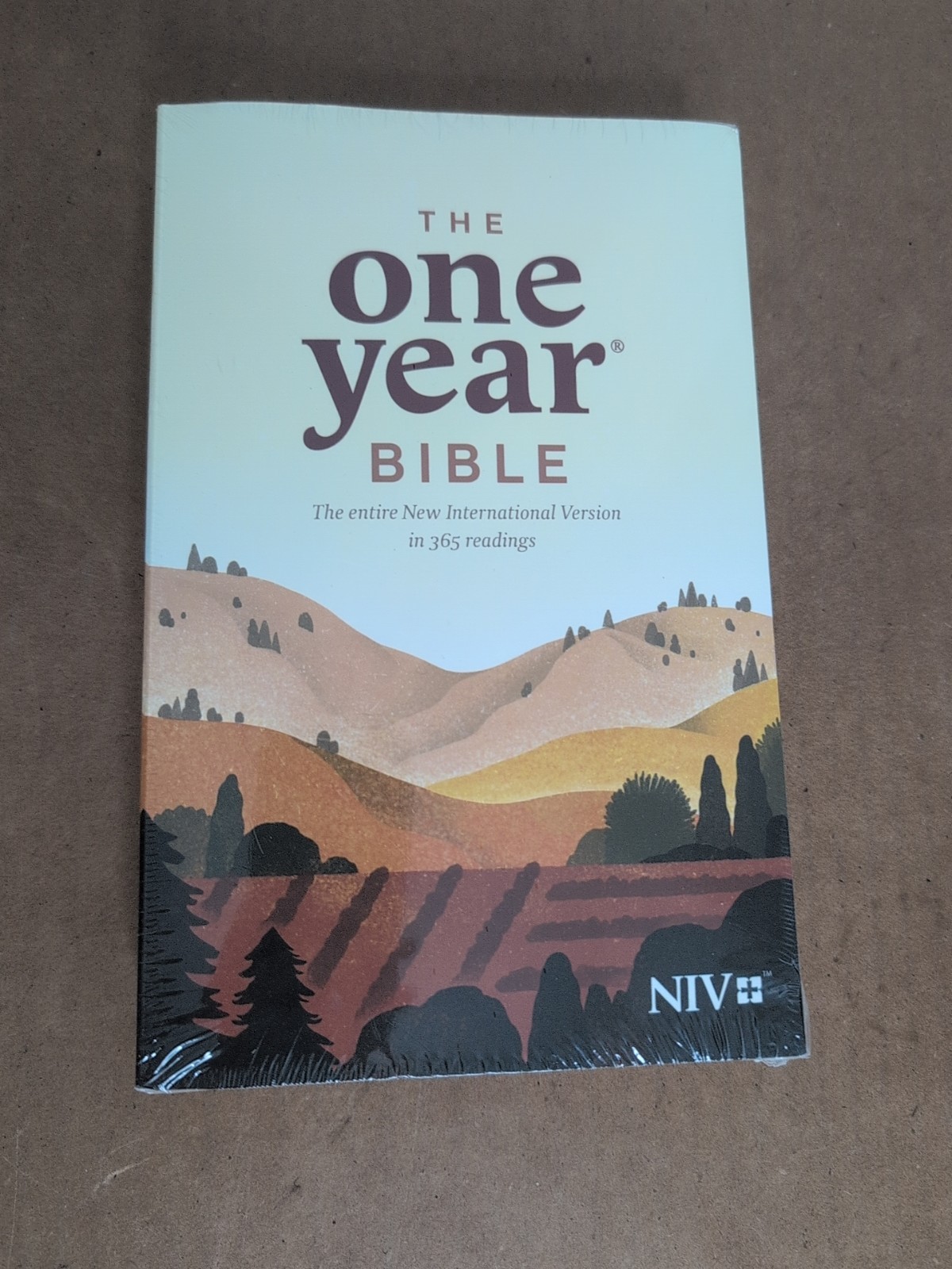 One Year by Tyndale House Publishers Staff (2015, Trade Paperback)