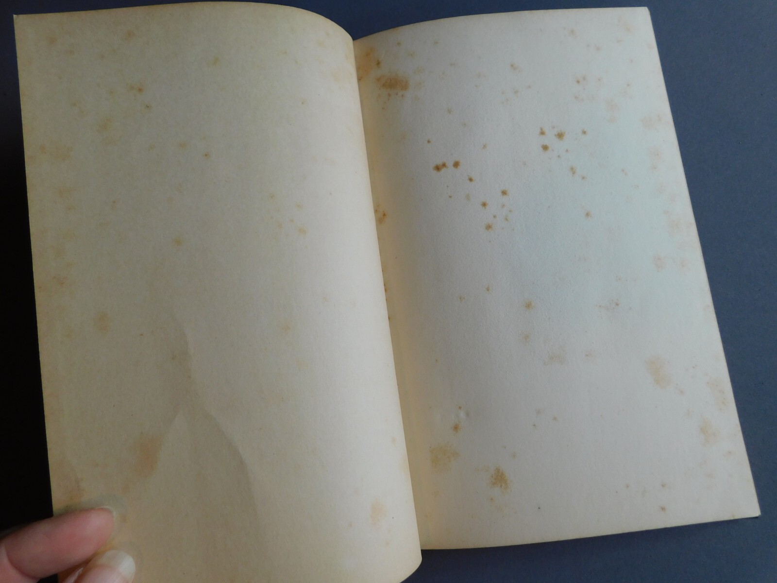 Thomas L Rubey, Late MO Representative – Memorial Serives Eulogy – 1929 Hardcove