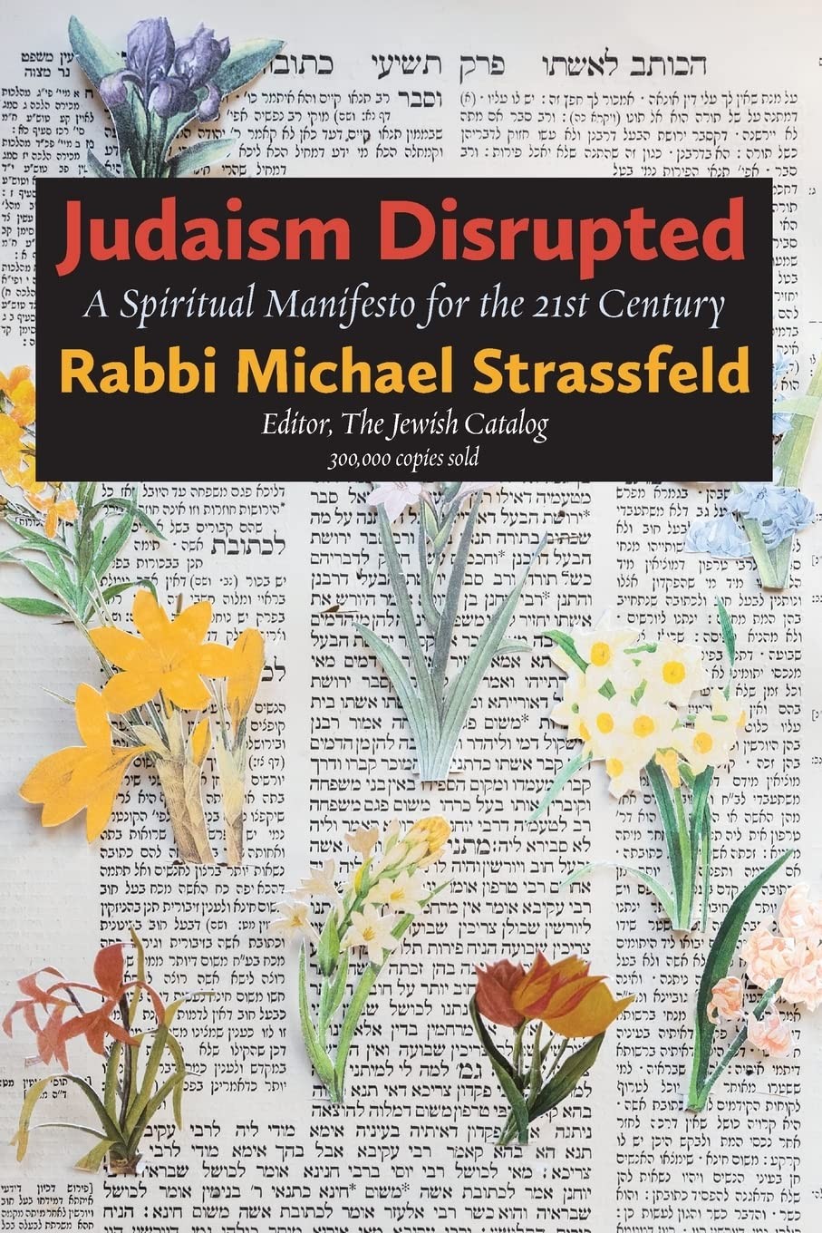 Judaism Disrupted: A Spiritual Manifesto for the 21st Century (Jewish Argume…