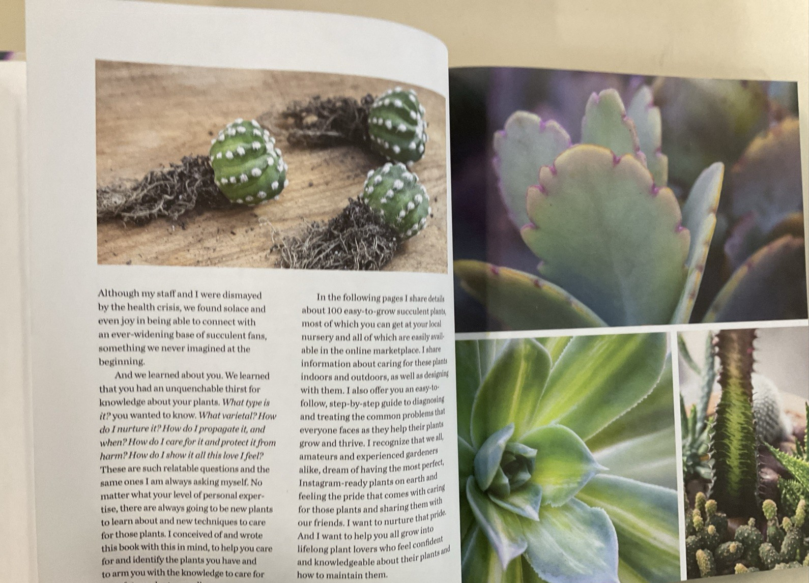 Succulent Obsession Complete Guide by Ken Shelf HC 2022 Rockridge Press