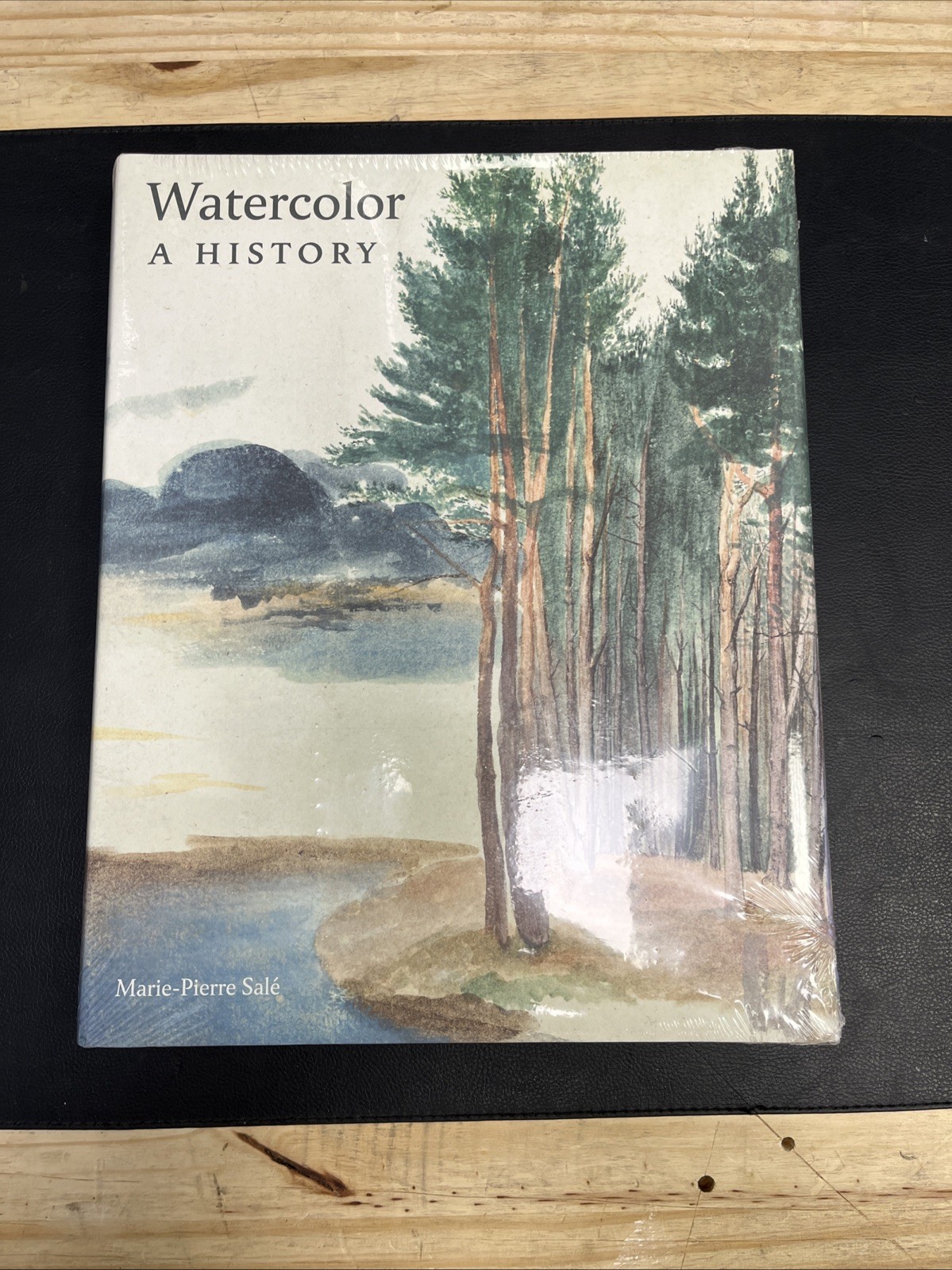 Watercolor: A History by ,Marie-Pierre Sale (English) Hardcover Book