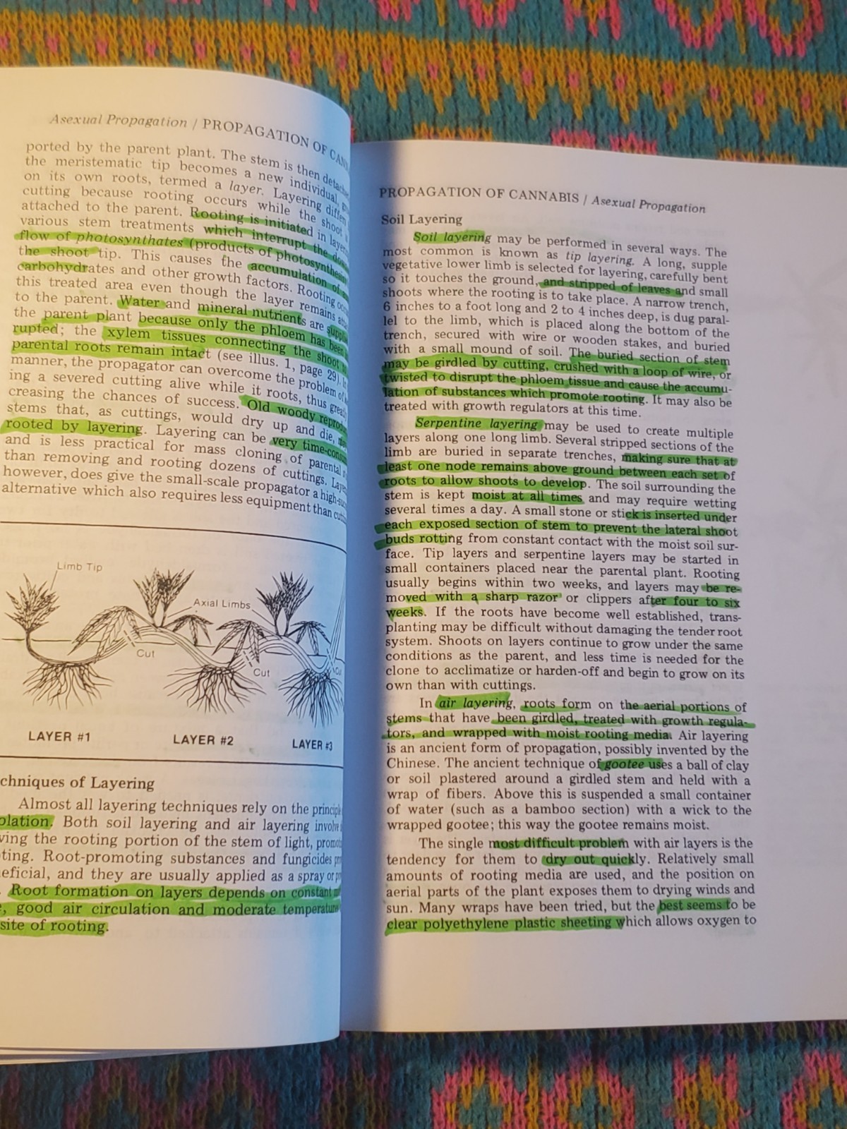 Marijuana Botany by Robert Clarke (Book) Cannabis Cultivation Advanced Study