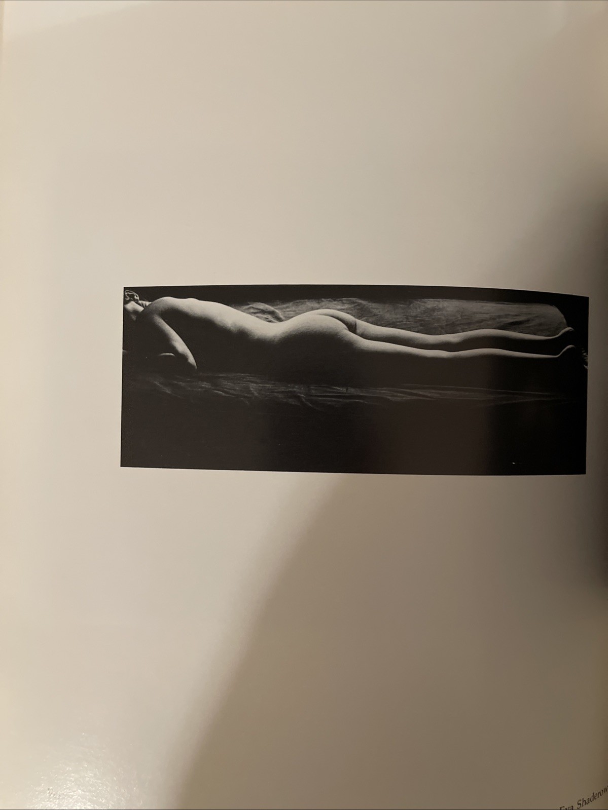Erotic Photography: An Exhibition