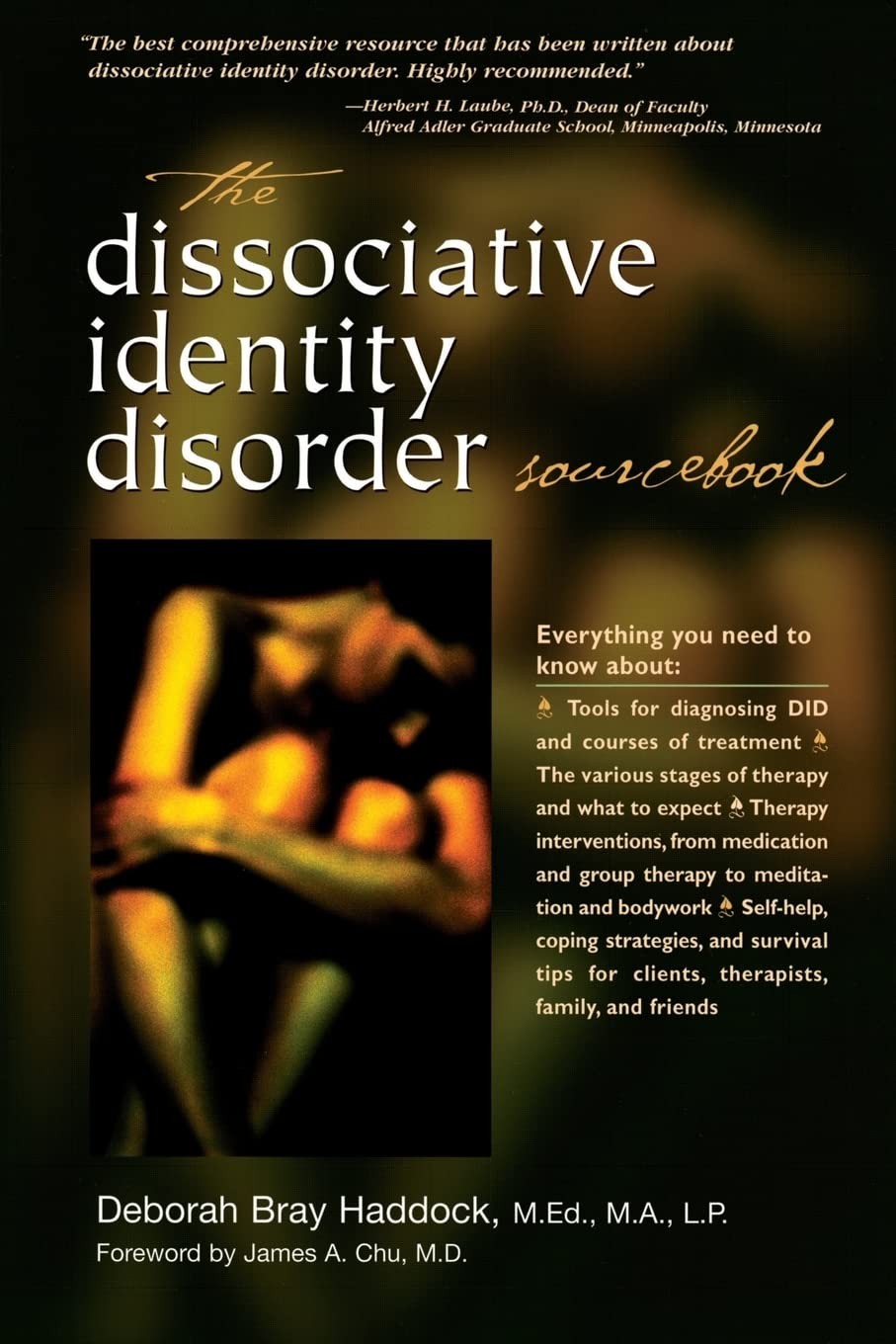 The Dissociative Identity Disorder Sourcebook – paperback Haddock, Deborah B…