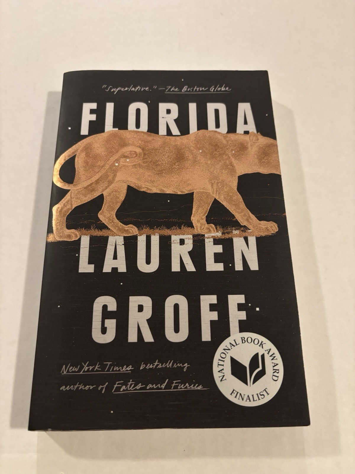 Florida by Lauren Groff (2019, Trade Paperback)
