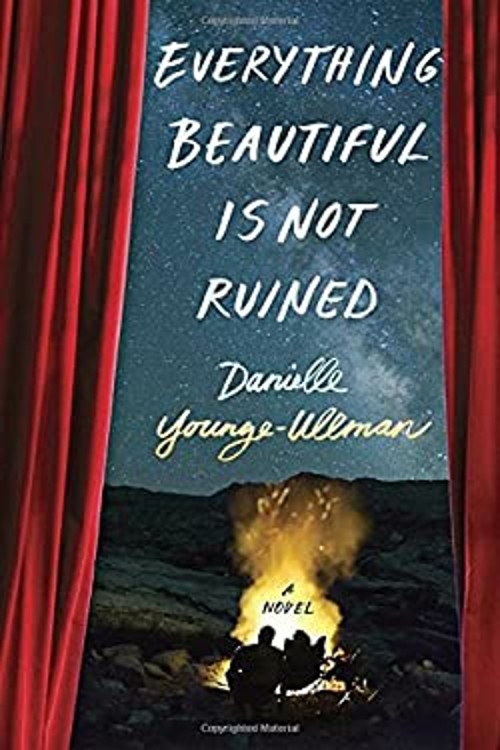 Everything Beautiful Is Not Ruined Hardcover Danielle Younge-Ullm
