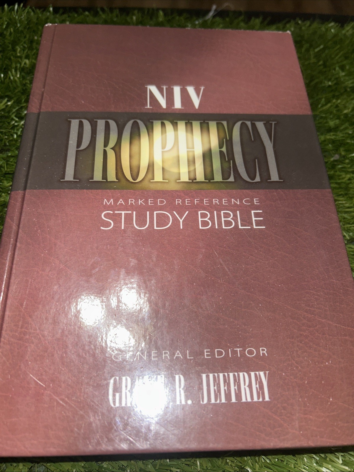 NIV Prophecy Marked Reference Study Bible 1998 Hardcover Text 1984