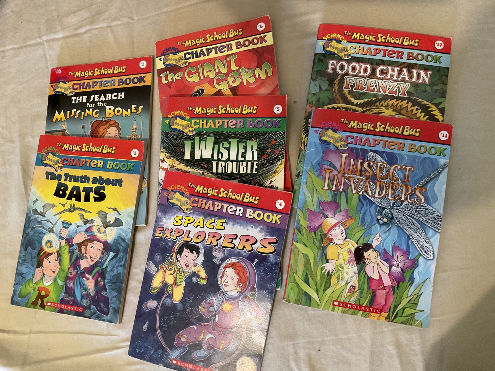 The Magic School Bus Chapter Books Set