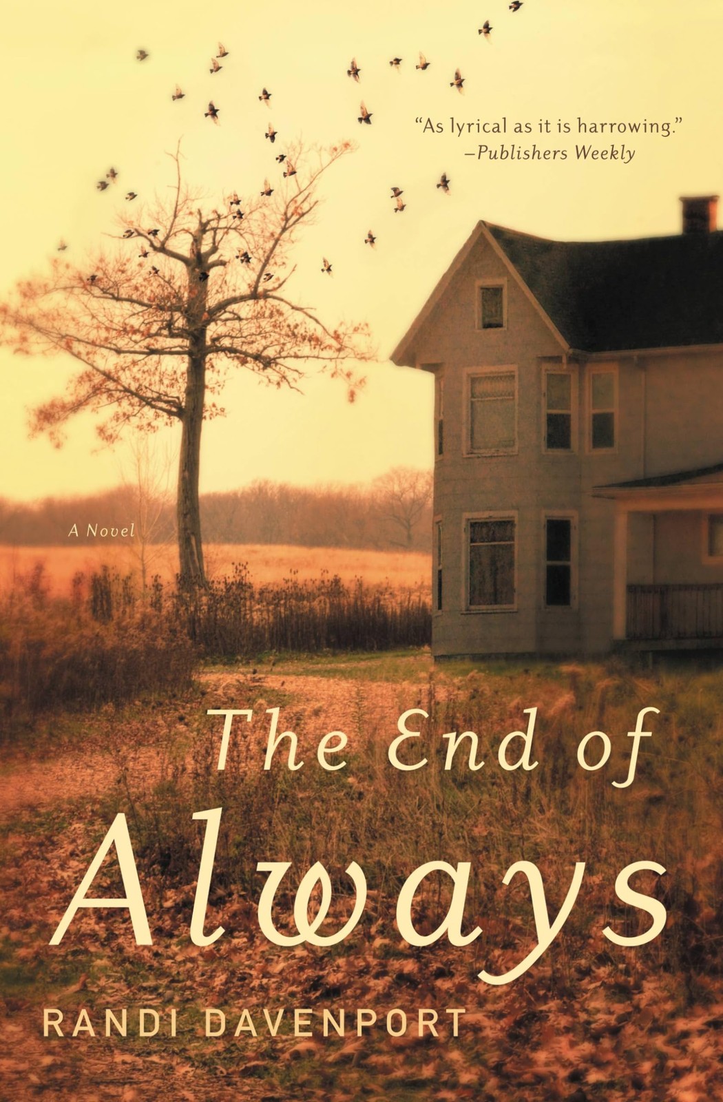 The End of Always: A Novel – Davenport, Randi – Very Good – See condition no…