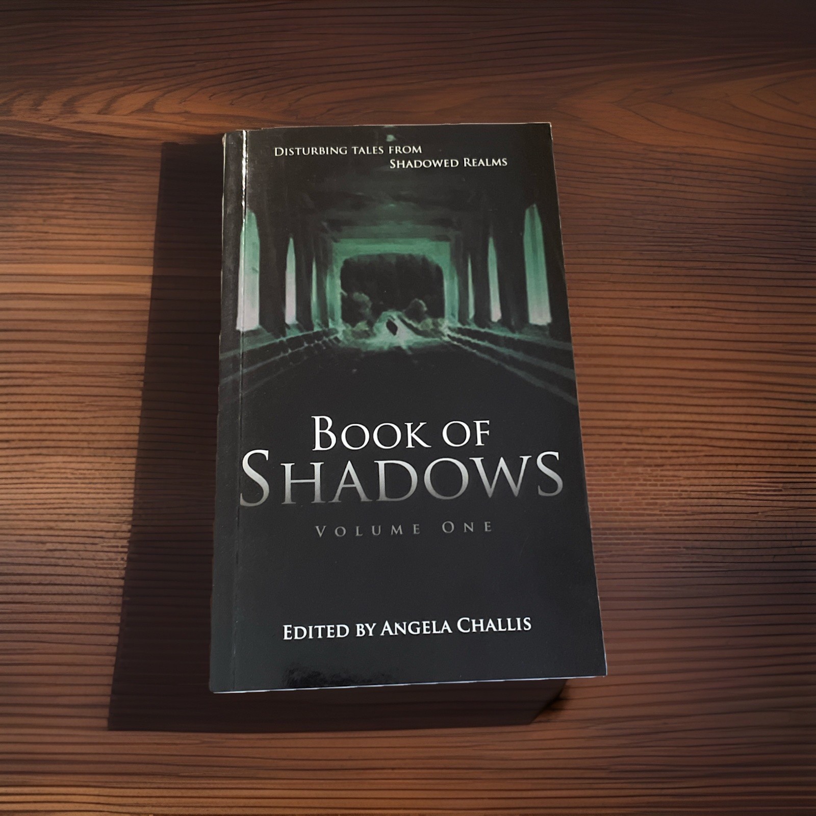 Book Of Shadows Volume 1 by Brimstone Press 1st Edition Small Press Run Rare