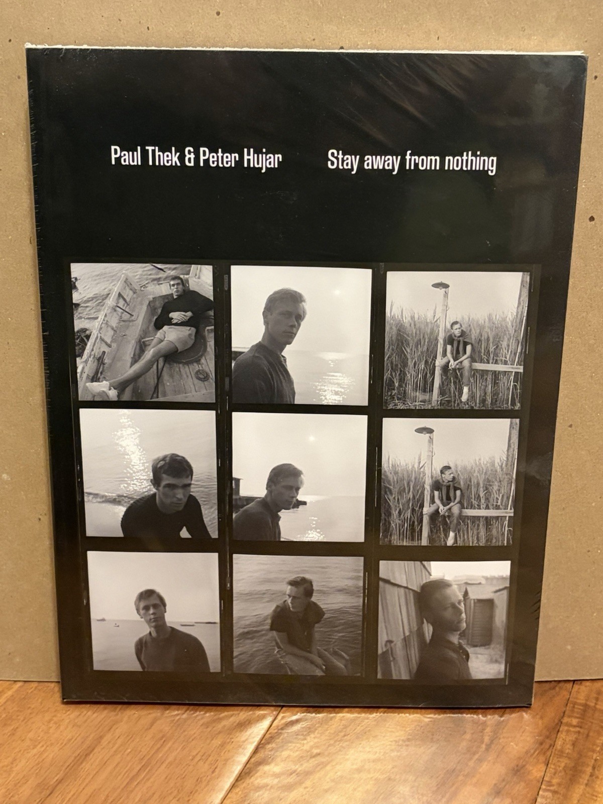 Paul Thek and Peter Hujar: Stay Away from Nothing by Paul Thek: New