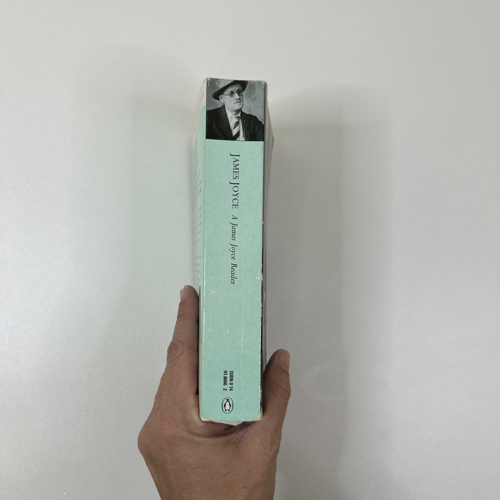 A James Joyce Reader (Penguin Twentieth Century Cla… by Joyce, James Paperback