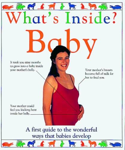 Baby (What’s Inside?) – Hardcover By DK Publishing – GOOD