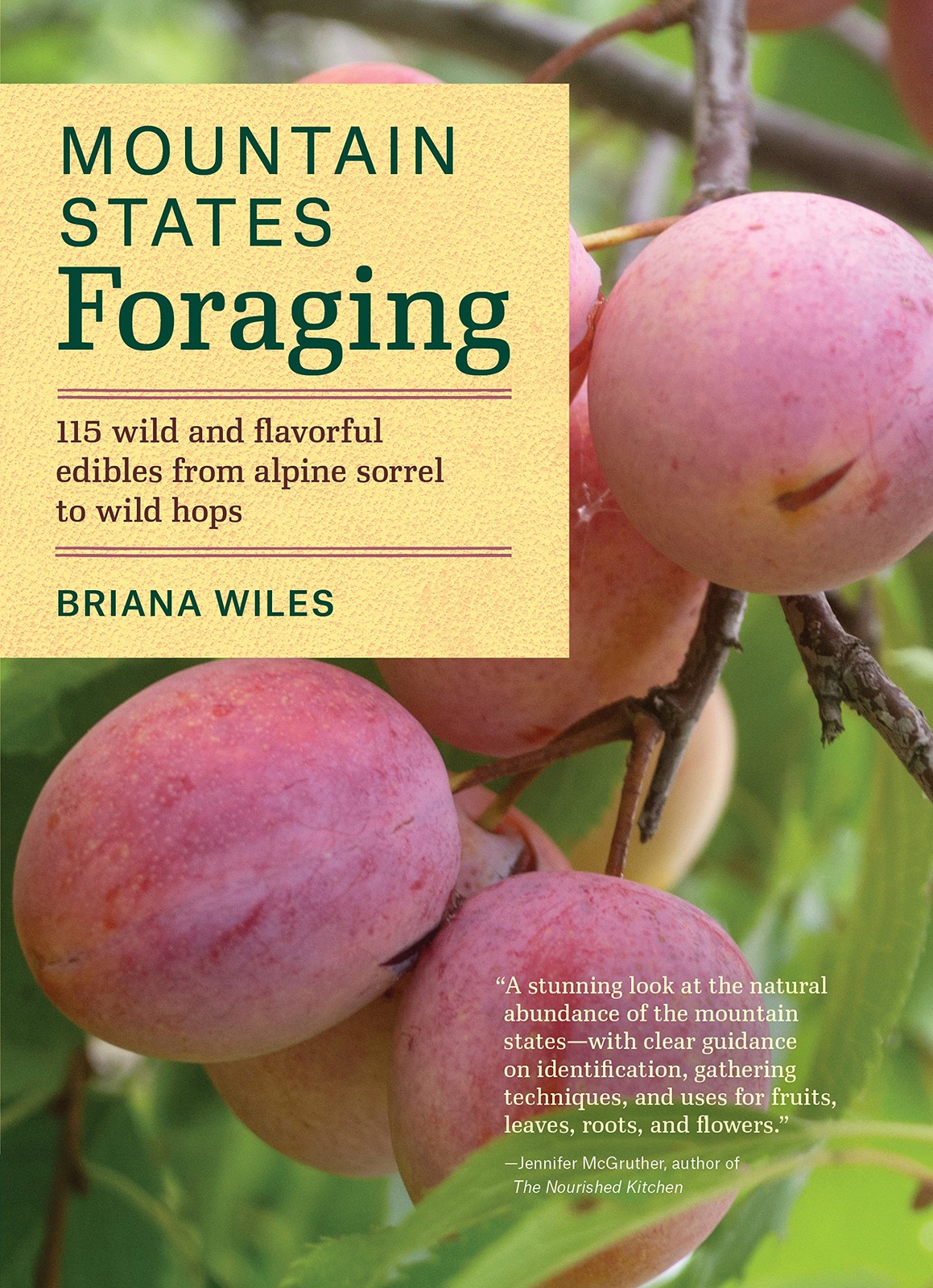 Mountain States Foraging: 115 Wild and Flavorful Edibles from Alpine Sorrel …