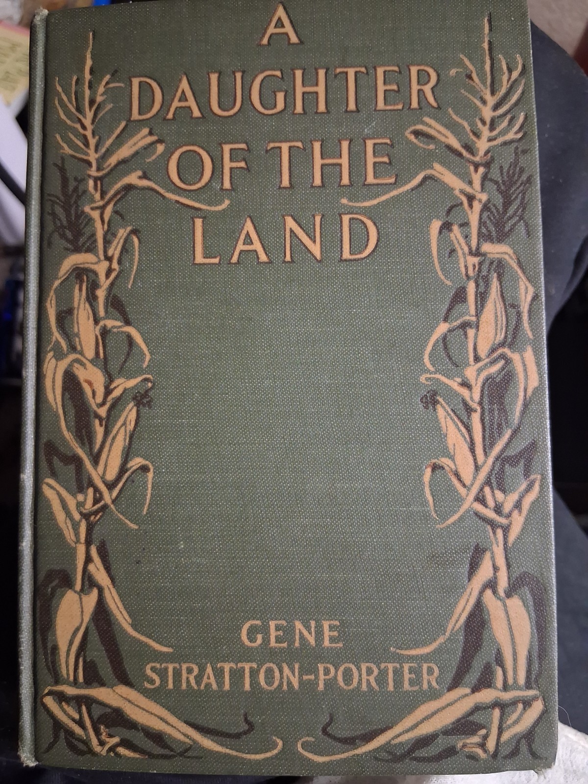A Daughter of the Land Stratton-Porter 1918 1st Issue WERE Point p304 Doubleday