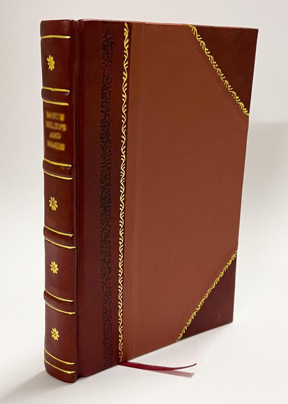 Our Little Life, Essays, by the Author of The Recreations of a [Leather Bound]