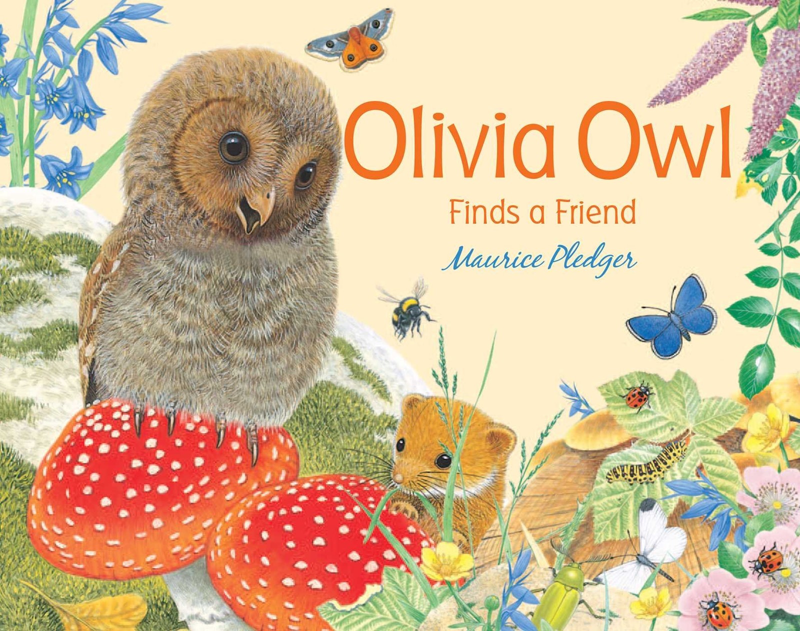 Olivia Owl Finds a Friend (Friendship Tales) – board book Pledger, Maurice