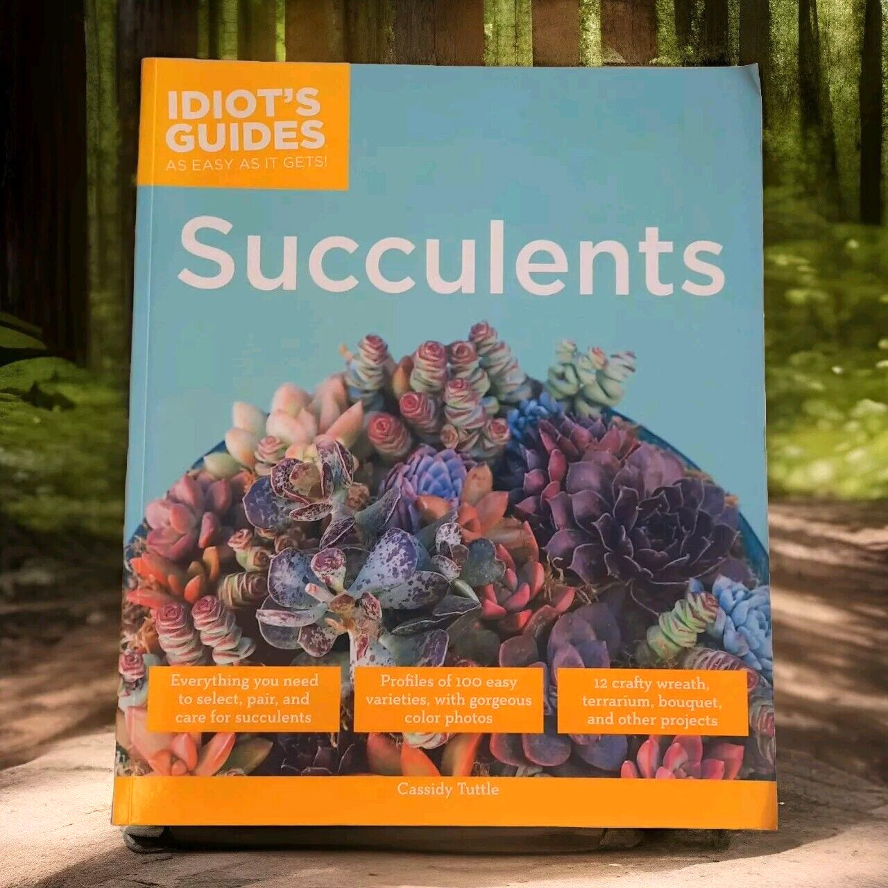 Succulents Care Guide Propagation Selection Pairing Crafts Terrarium Bouquet