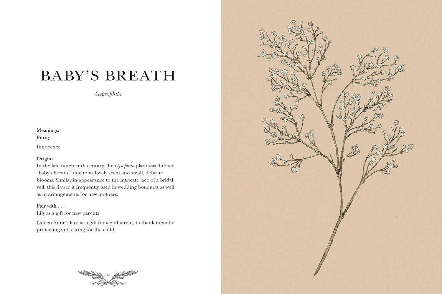 Floriography: An Illustrated Guide to the Victorian Language of Flowers (Volume