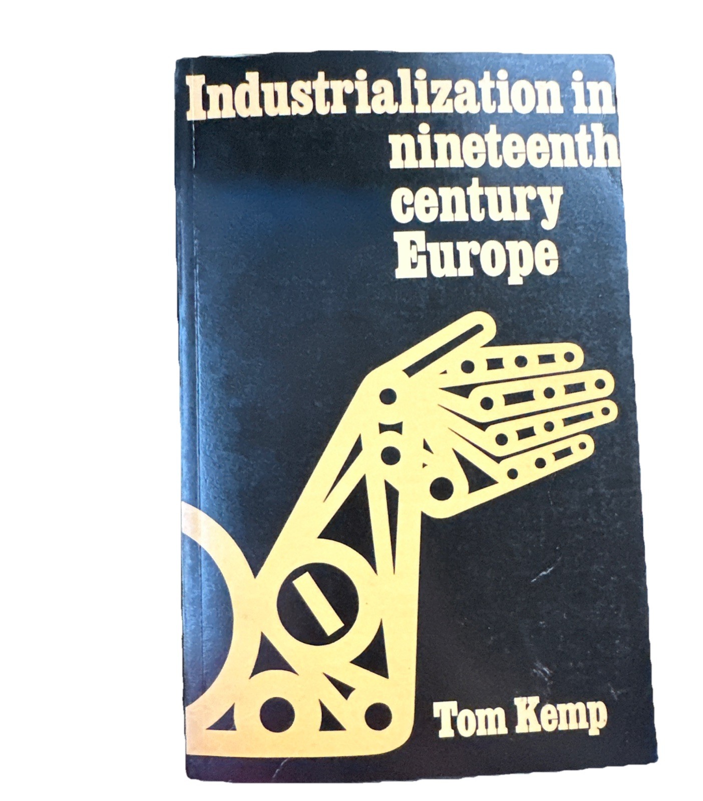 Industrialization in Nineteenth-Century Europe : by Tom Kemp (Paperback)